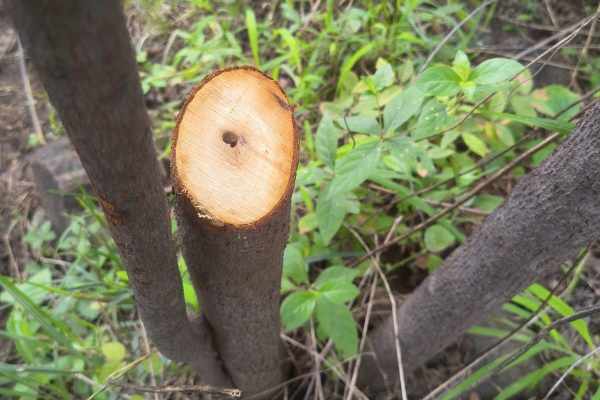 IMG-20250902-WA0042~2