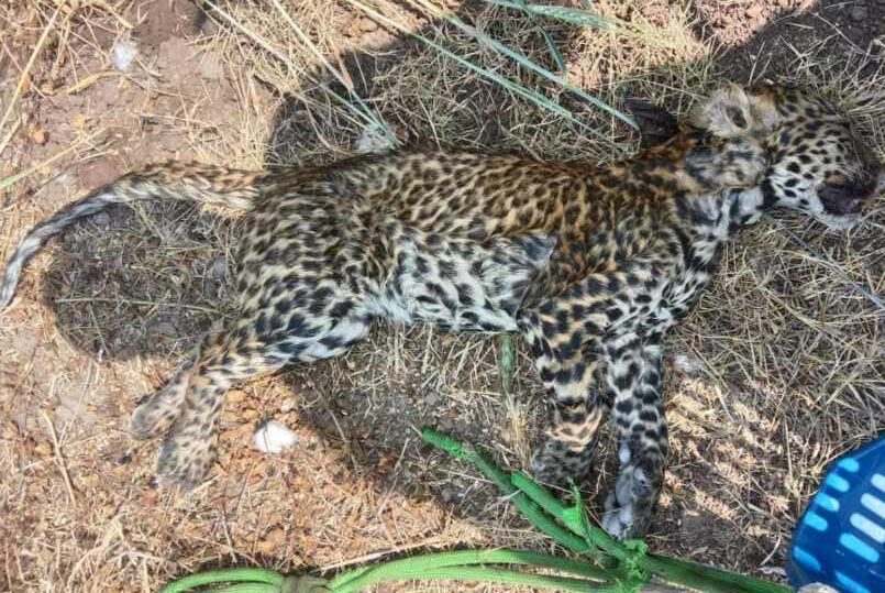 Screenshot_2026-02-16-12-35-00-70_7352322957d4404136654ef4adb64504